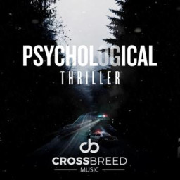 Psychological Thriller