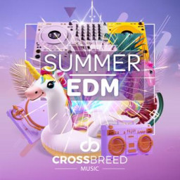 Summer EDM