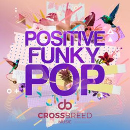 Positive Funky Pop