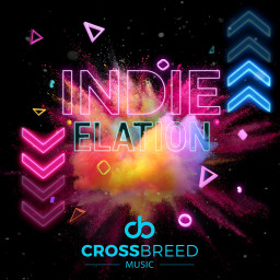 Indie Elation