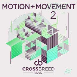 Motion and Movement 2