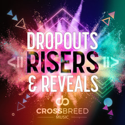 Dropouts Risers and Reveals