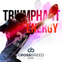 Triumphant Energy