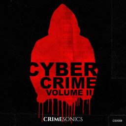 Cyber Crime II