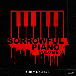 Sorrowful Piano V