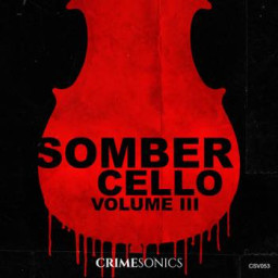 Somber Cello III