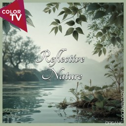 Reflective Nature