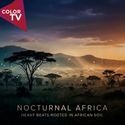 Nocturnal Africa