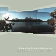 Dynamic Panoramic