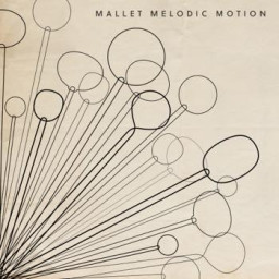 Mallet Melodic Motion
