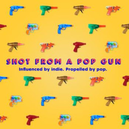 Shot From A Pop Gun