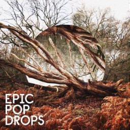 Epic Pop Drops