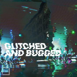 Glitched and Bugged
