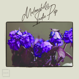 Melancholy Indie Pop