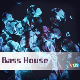 Bass House