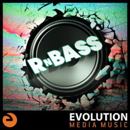 R 'N Bass