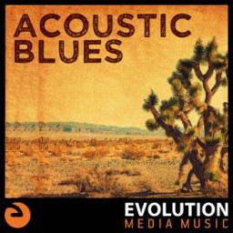 Acoustic Blues