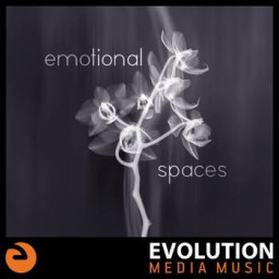 Emotional Spaces