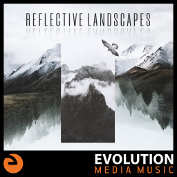 Reflective Landscapes