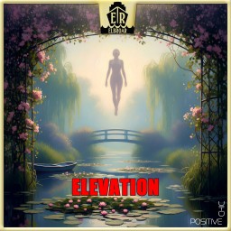 Elevation - Paperplane