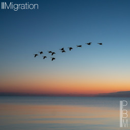 Migration