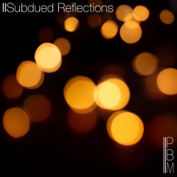 Subdued Reflections