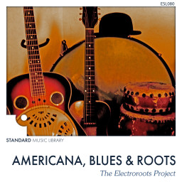 Americana, Blues & Roots - The Electroroots Project
