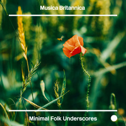 Minimal Folk Underscores