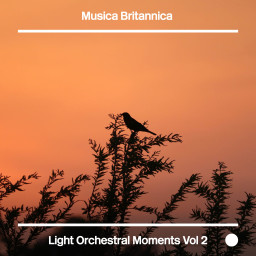 Light Orchestral Moments Vol. 2