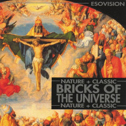 Bricks Of The Universe