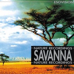 Savanna