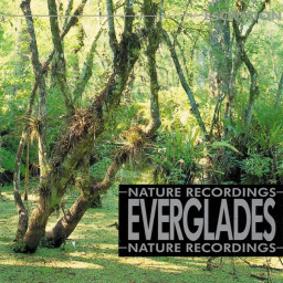Everglandes