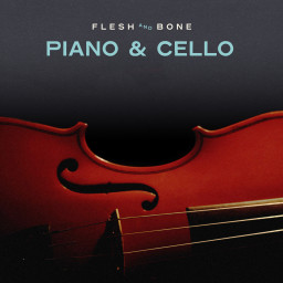 Piano And Cello