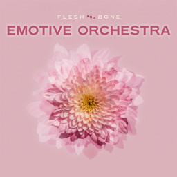 Emotive Orchestra