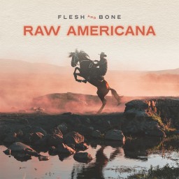 Raw Americana
