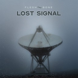 Lost Signal