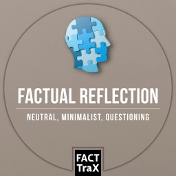 Factual Reflection
