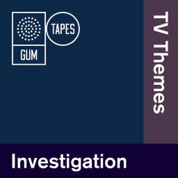 Investigation: Tv Themes