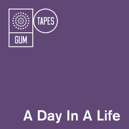 A Day In A Life