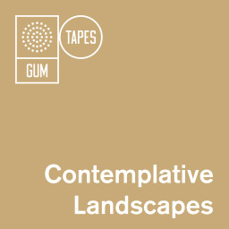 Contemplative Landscapes