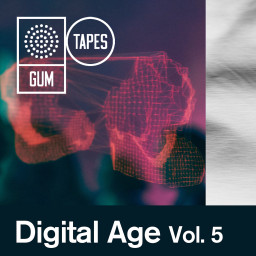 Digital Age Vol.5