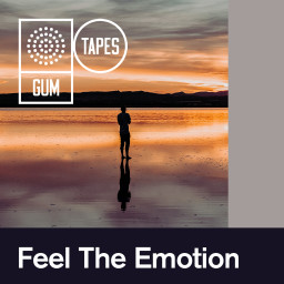 Feel The Emotion