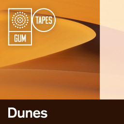 Dunes