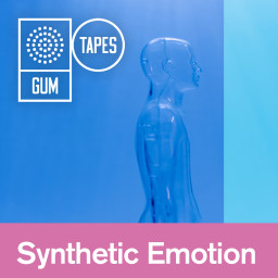 Synthetic Emotion