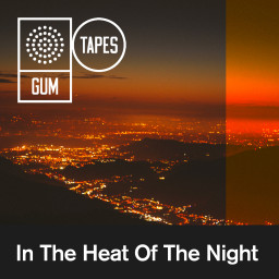 In The Heat Of The Night