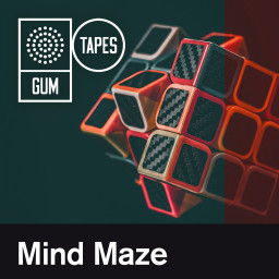 Mind Maze