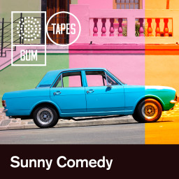 Sunny Comedy
