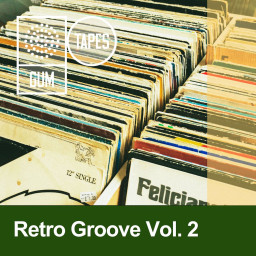 Retro Groove Vol. 2