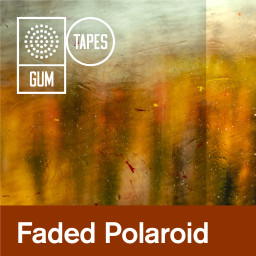 Faded Polaroid
