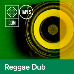 Reggae Dub